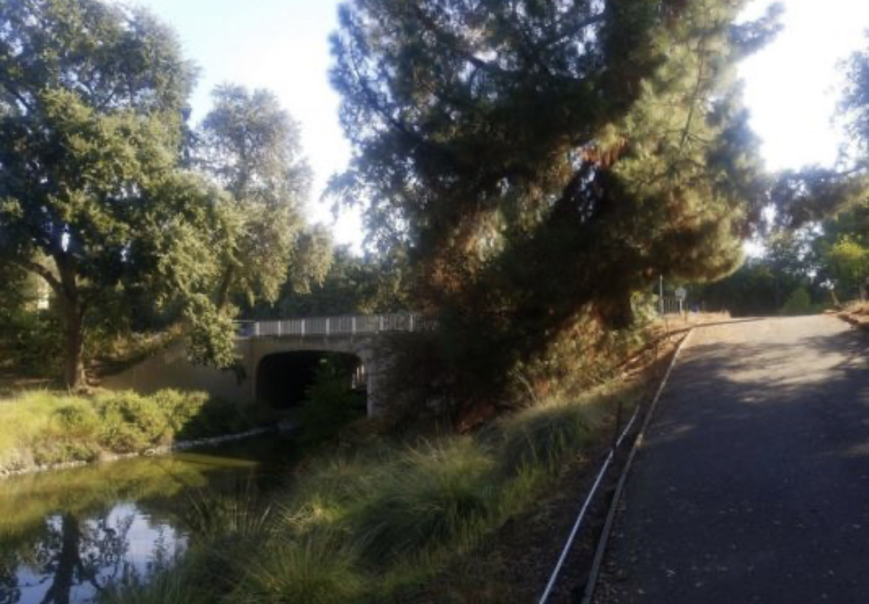 17FD786C-B681-497A-B2FD-F86341326A7E